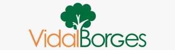 Vidal Borges